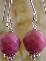 Classic small clip earrings