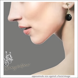 Elegant Black Onyx Teardrop Detail Piercing Clipon Earrings