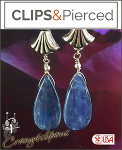 Distinctive Charm: Silver & Blue Kyanite Clip Earrings