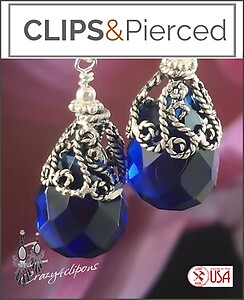 Versatile Chic: Classic Blue Stone Clip Earrings