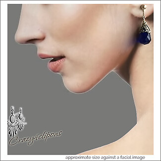 Versatile Chic: Classic Blue Stone Clip Earrings