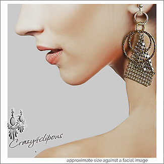 Dazzling! Bold Two-Toned Mesh Earrings