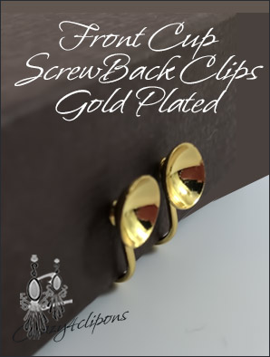 Front Cup Silver Screw back Gold Clip Findings